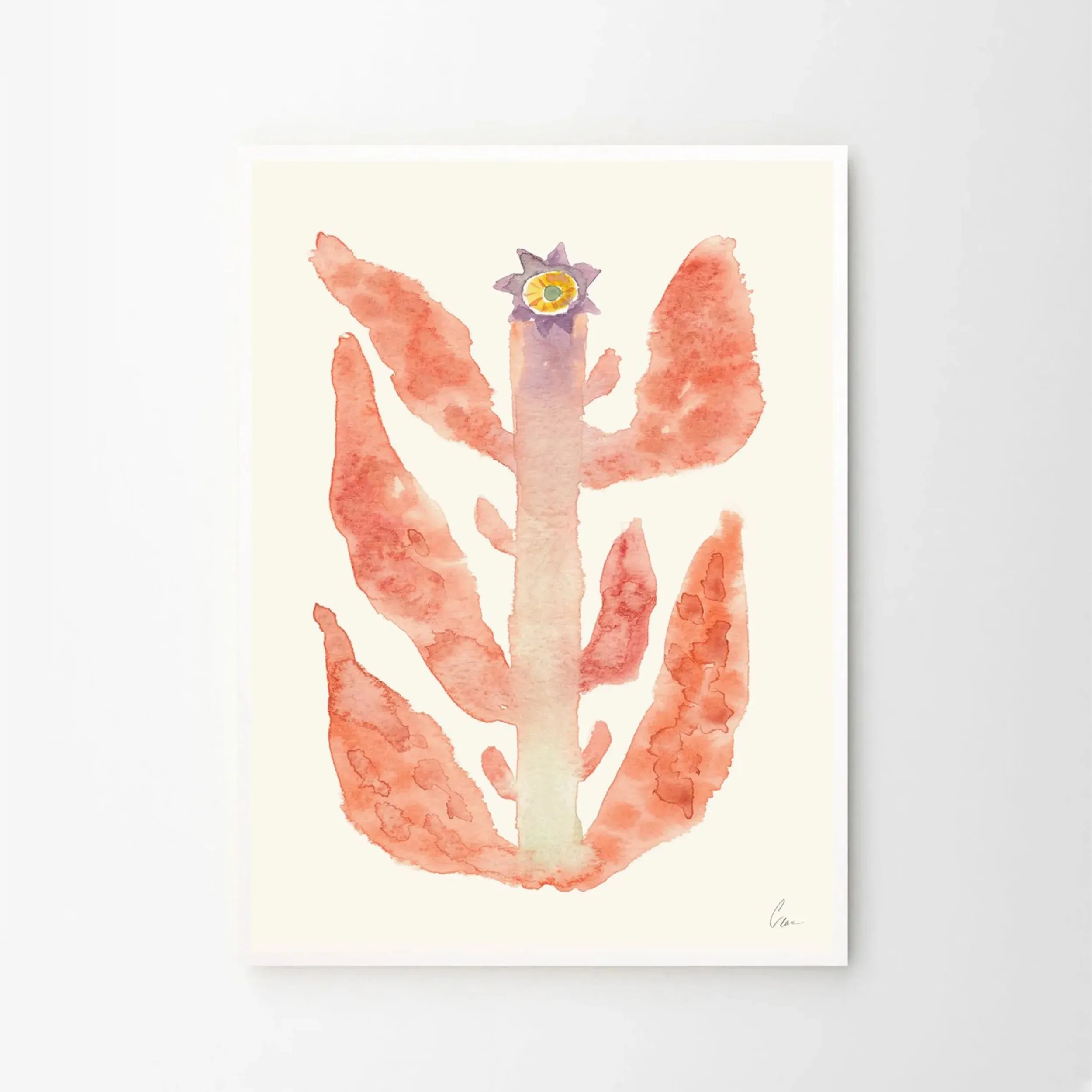 Augusti Print 30cm x 40cm