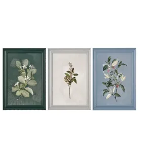 Beautiful by Drew Barrymore 551563 Framed Vintage Botanical Color Block set of 3