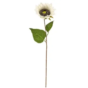 *Blooming Sunflower Stem White