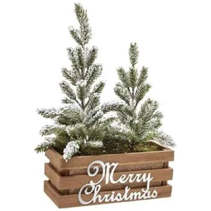 *Christmas Tree in Wooden Pot