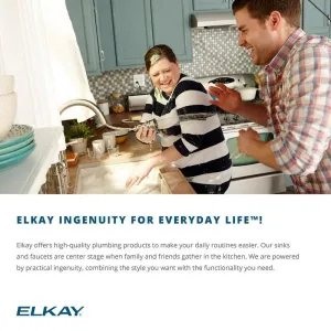 Elkay LRAD2219553 Gourmet Lustertone Sink