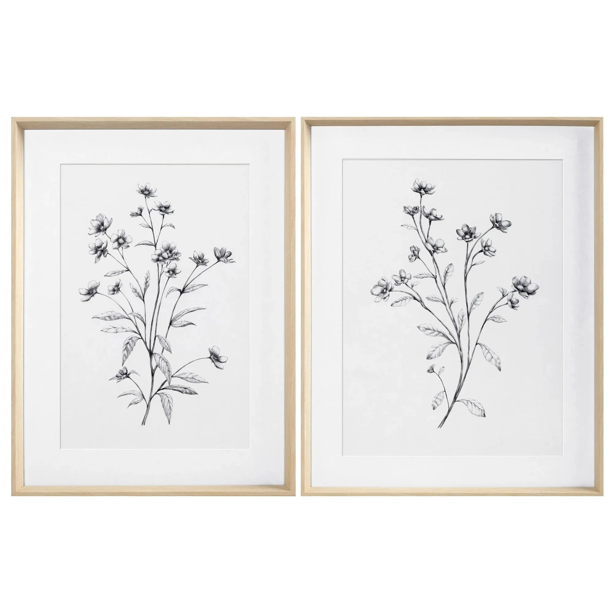 My Texas House Wild Daisy Spray Pencil Drawing 2 Pce Set Framed Art 18" x 24"