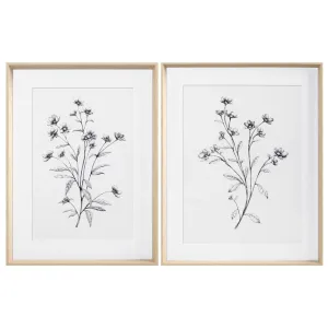 My Texas House Wild Daisy Spray Pencil Drawing 2 Pce Set Framed Art 18" x 24"