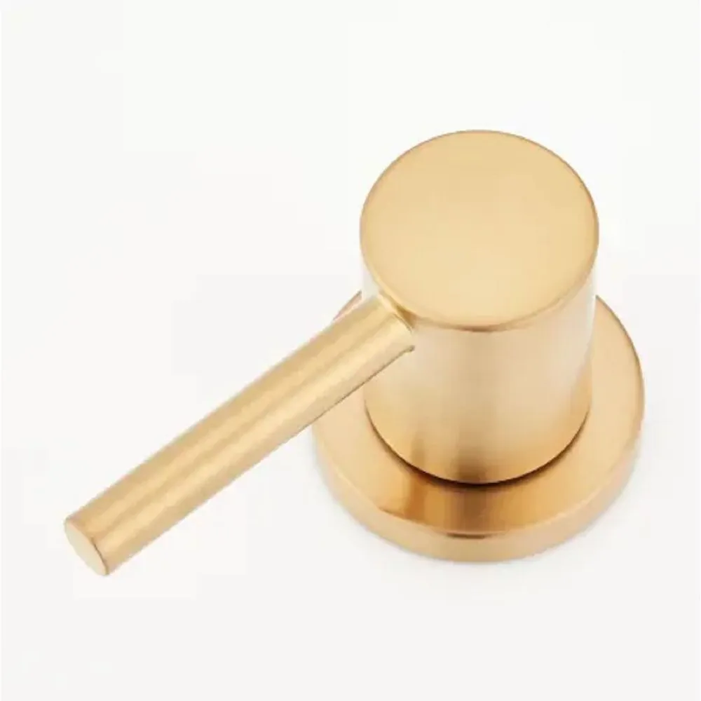 Signature Hardware SHWSCLE807BG Lexia 1.2 GPM Widespread Gooseneck Bathroom Faucet with Pop-Up Drain Assembly, Brushed Gold