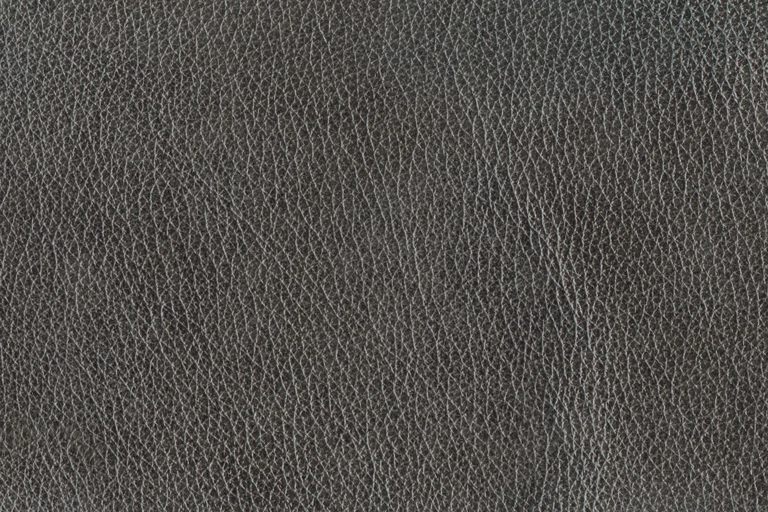 Stampede Leather Loveseat - Charcoal