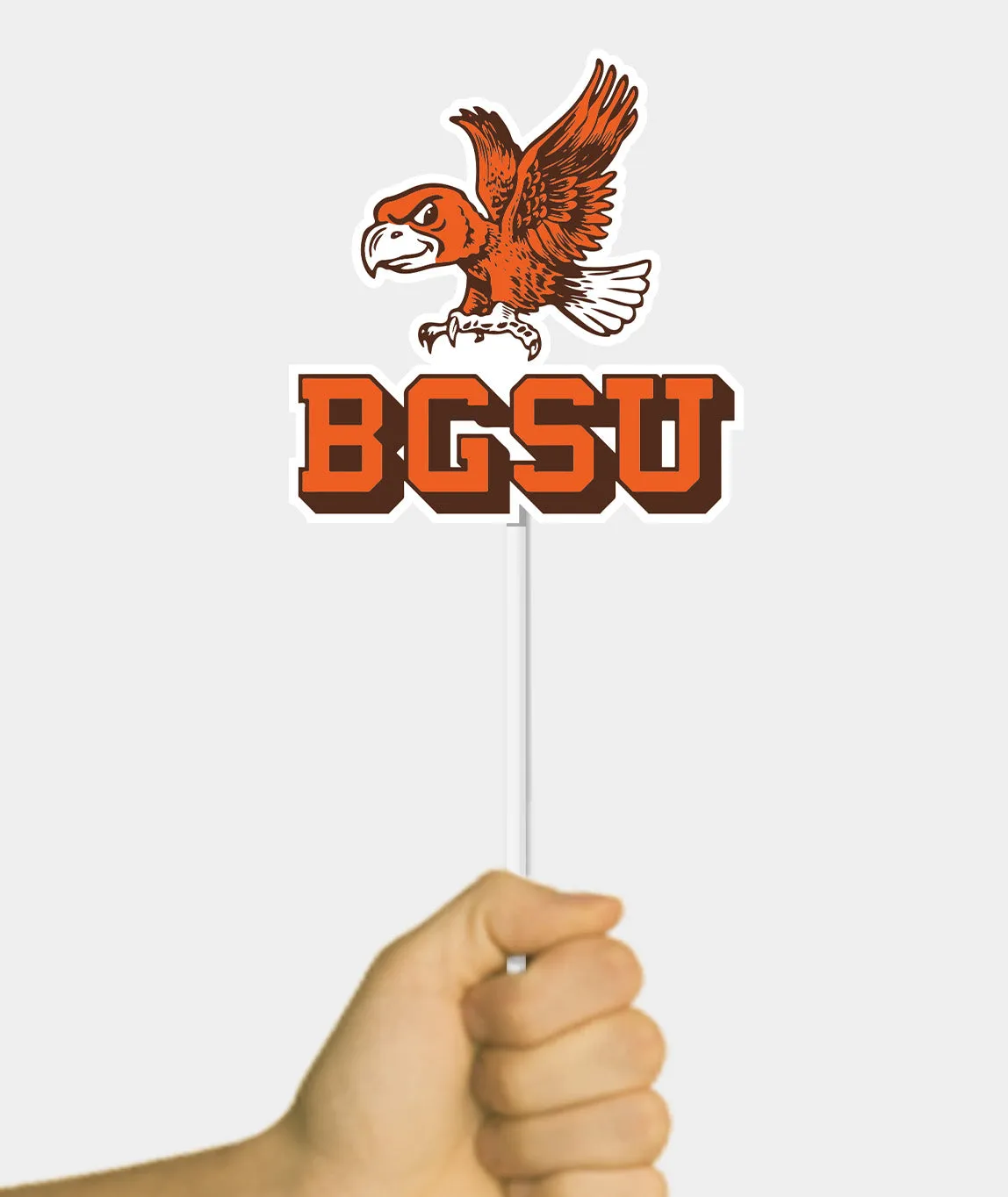 Vintage Falcon Flag Pop